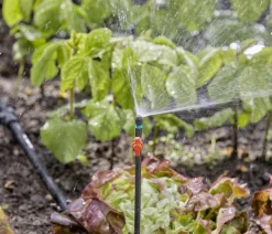 GARDENA Micro-Drip-System Verlängerungsrohr, 1/2