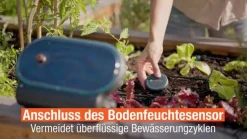 GARDENA Solar-Bewässerung AquaBloom L Set, ca. B14/H29/T17 cm