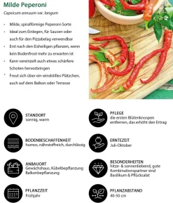 Gemüse-Set Grillparty, 6-teilig