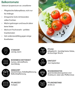 Gemüse-Set Tomatengenuss, 6-teilig