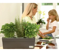 GREENBAR® Blutampfer
