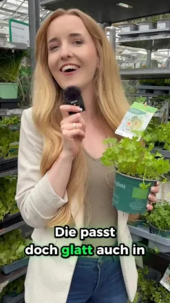 GREENBAR® Petersilie, glatt