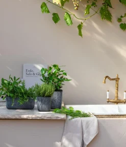 GREENBAR® Thymian