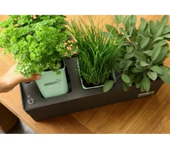 GREENBAR® Wasserstandsanzeiger