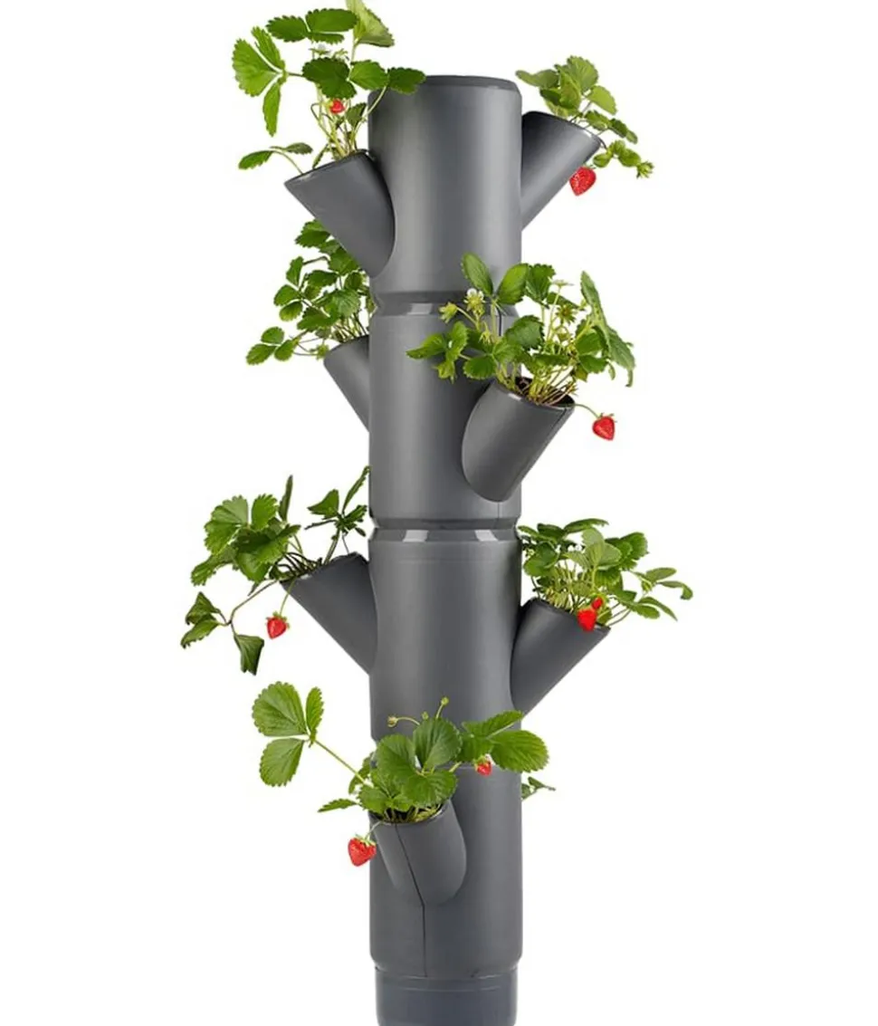 Gusta Garden Erdbeerbaum Sissi Strawberry, hängend, ca. B27/H77/T27 cm