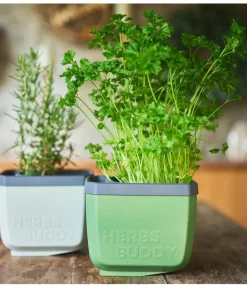 Gusta Garden Kräutertopf Herbs Buddy, ca. B16/H14/T14 cm