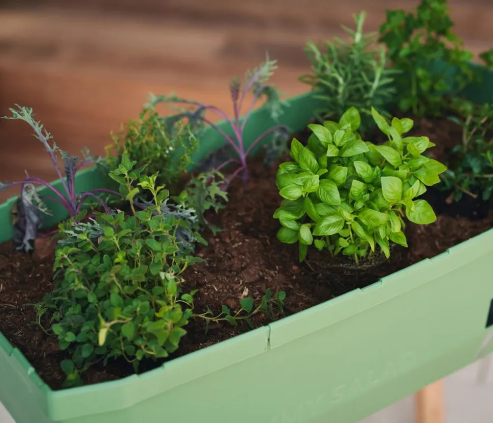 Gusta Garden Mini-Hochbeet Sammy Salad, inkl. Haube, ca. B79/H95/T38 cm