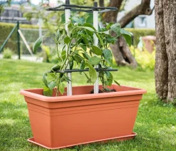 Gusta Garden Paprika-Rankhilfe Chili Buddy, ca. B34/H64/T19 cm