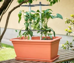 Gusta Garden Rankhilfe Chili Buddy, ca. B34/H64/T19 cm, 3er-Set