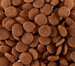 Happy Dog Trockenfutter für Hunde Supreme Sensible Africa