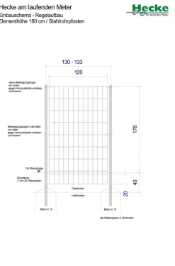 Hecke am laufenden Meter® 'Woerneri' - Efeu, ca. 180 cm