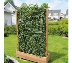 Hecke am laufenden Meter® 'Woerneri' - Efeu, ca. 200 cm