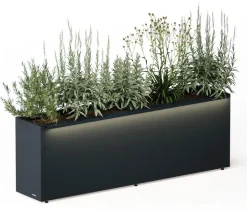 Herstera Metall-Pflanzkasten Cube Balcony, rechteckig, anthrazit