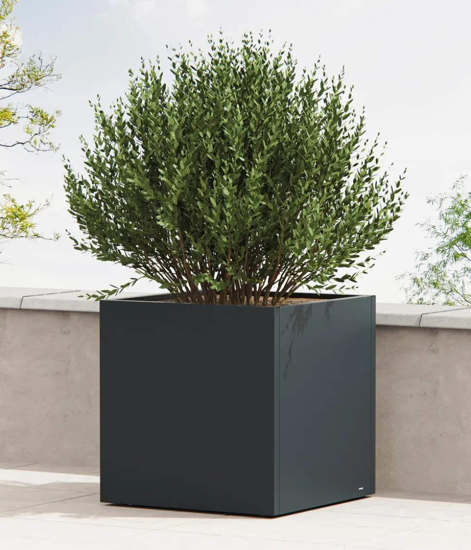 Herstera Metall-Pflanzkasten Cube LED, quadratisch, anthrazit