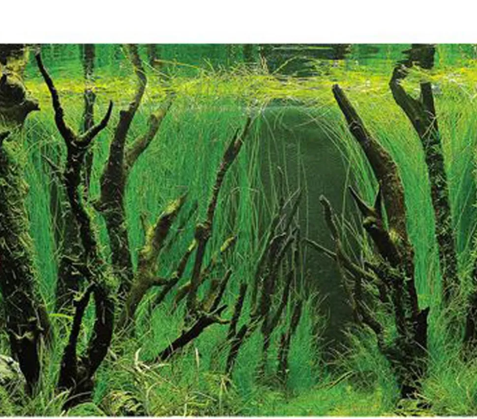 Hobby® Aquarium Rückwand Canyon/Woodland
