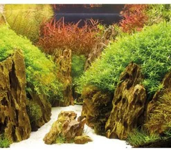 Hobby® Aquarium Rückwand Canyon/Woodland