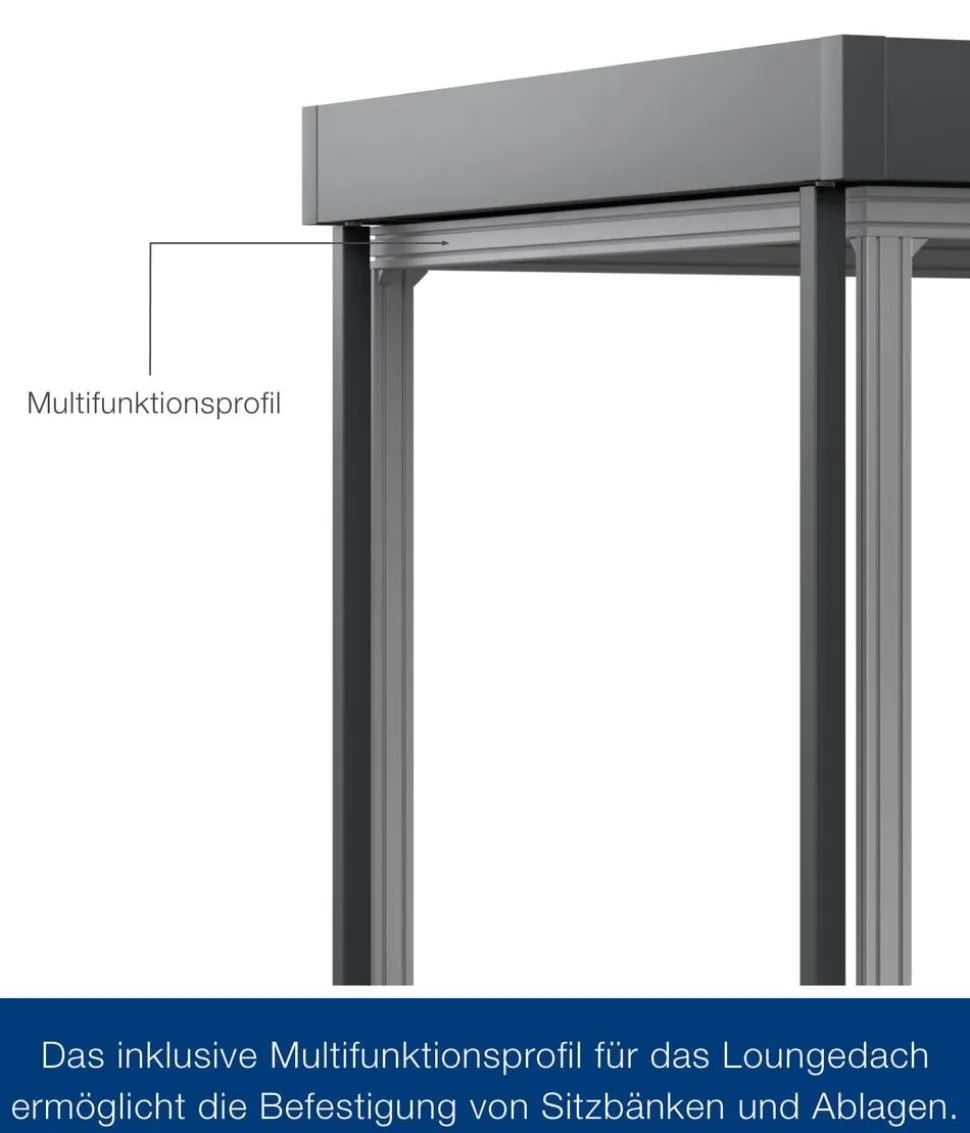 Hörmann Juno Loungedach für JFD5/9/12, ca. B321/H220/T229 cm