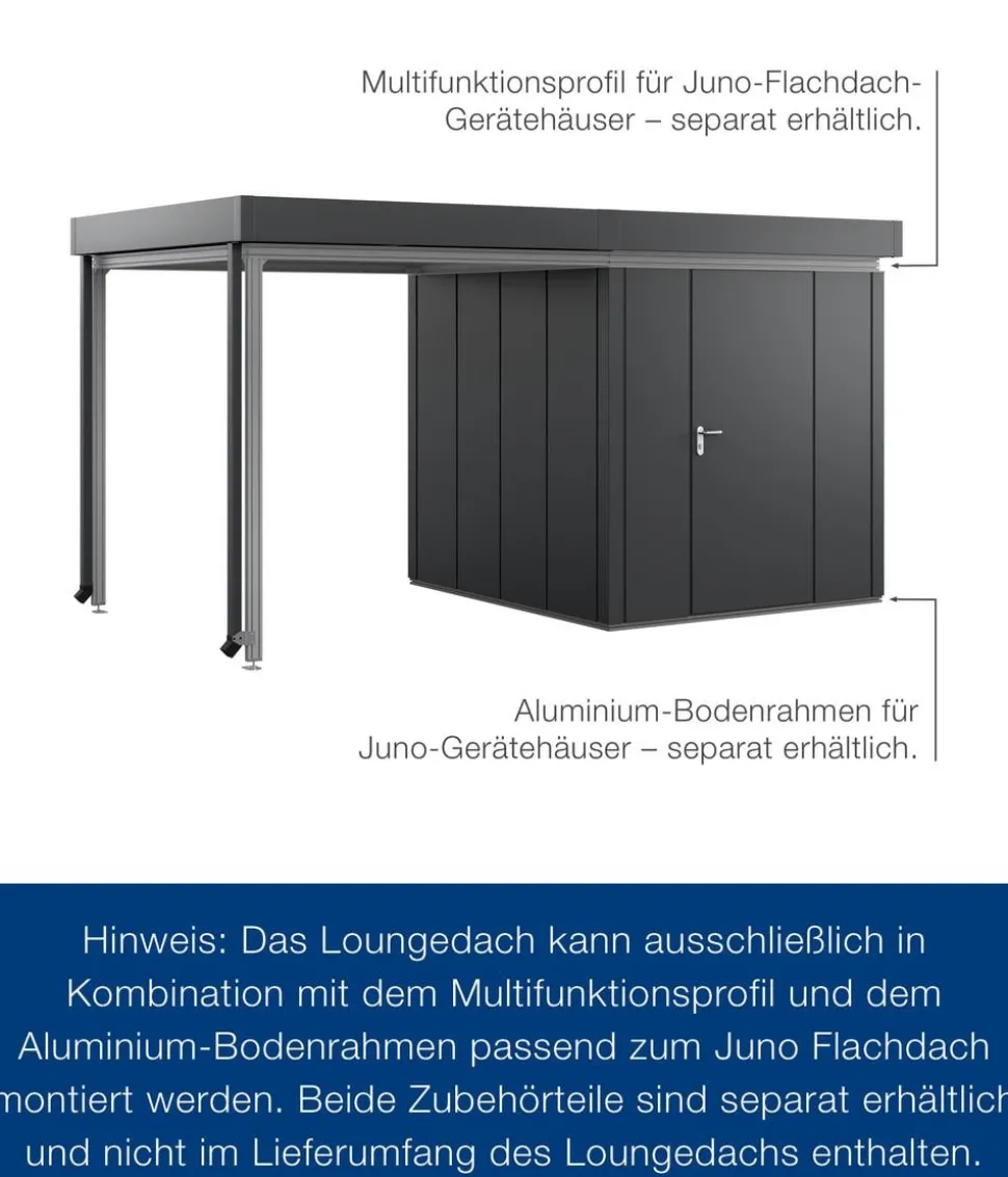 Hörmann Juno Loungedach für JFD5/9/12, ca. B225/H220/T229 cm