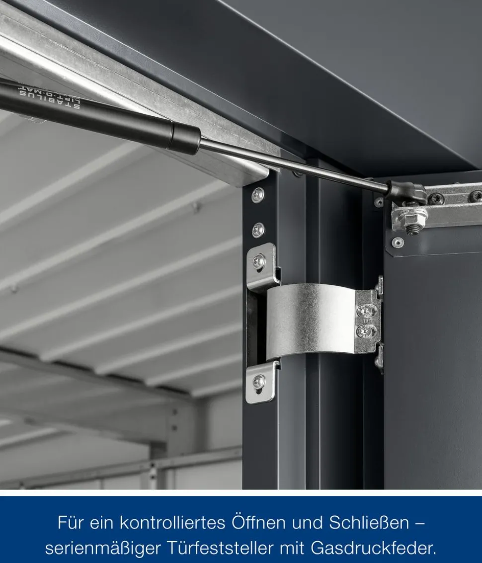 Hörmann Metallgerätehaus Juno JSD5 L-Sk Motiv Design, ca. B237/H223/T229 cm