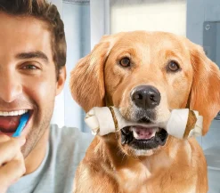 8in1 Hundesnack Delights Dental Kauknochen