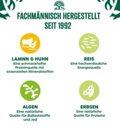 James Wellbeloved Nassfutter für Hunde Senior, Lamm & Huhn in Pastete