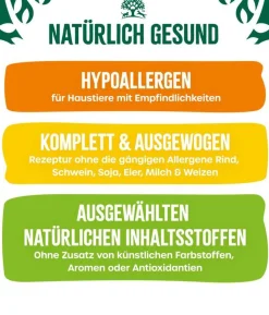 James Wellbeloved Nassfutter für Hunde Senior, Lamm & Huhn in Pastete