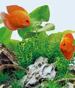 JUWEL® AQUARIUM Aquariumbeleuchtung HeliaLux Splitter LED
