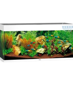 JUWEL® AQUARIUM Rio 180 LED