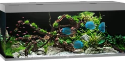 JUWEL® AQUARIUM Rio 450 LED
