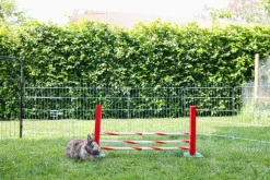 KERBL Agility Nagerspielzeug Steilsprung, ca. B70/H35/T5 cm