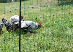 KERBL Geflügelnetz PoultryNet Doppelspitze, elektrifizierbar
