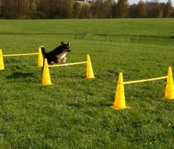 KERBL Hundespielzeug Agility Pylonen-Hürden Set