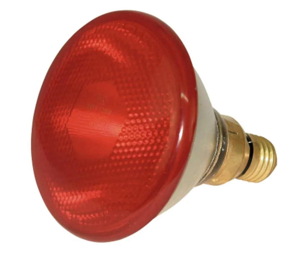 KERBL Infrarot Sparlampe PAR38