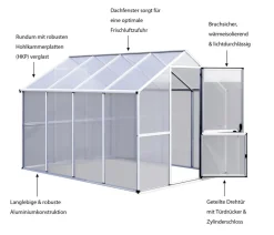KGT Gewächshaus Callas
