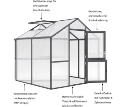 KGT Gewächshaus Iris II, ca. B233/H226/T217 cm