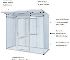 KGT Gewächshaus Linea I
