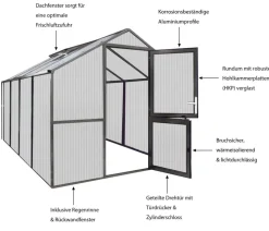 KGT Gewächshaus Rose IV