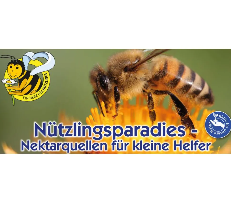 Kiepenkerl Saatgut Wildblumen Amerikanische Landblumenmischung