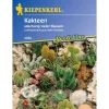 Kiepenkerl Samen Kakteen