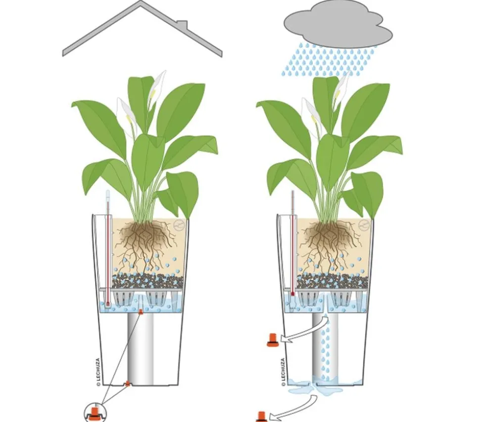 LECHUZA® CUBICO Color, All-in-One-Set