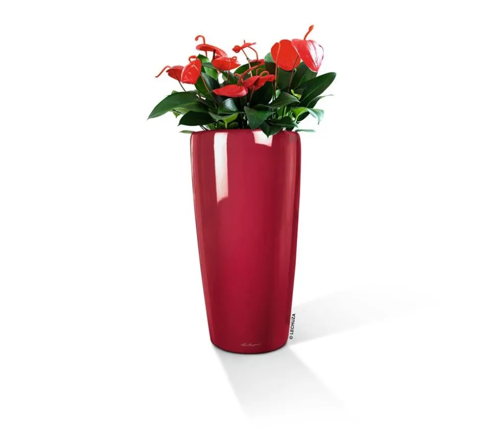 LECHUZA® Rondo hochglanz All-in-One-Set, scarlet rot, 15759