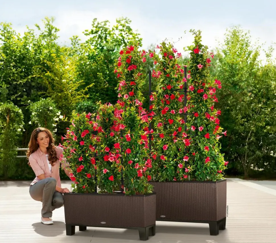 LECHUZA® Trio Cottage Rankgitter, schwarz, ca. B86/H135 cm