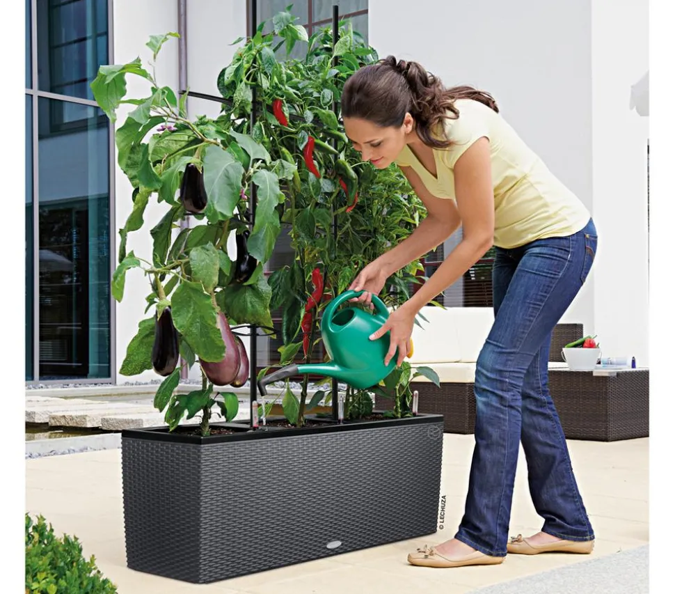 LECHUZA® Trio Cottage Rankgitter, schwarz, ca. B86/H135 cm