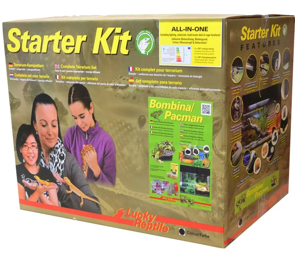 Lucky Reptile Starter Kit Komplettset Bombina/Pacman, ca. B50/H40/T28 cm