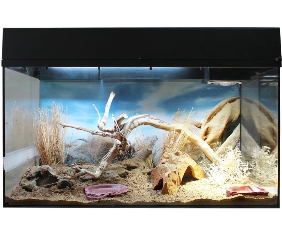 Lucky Reptile Starter Kit Komplettset Bartagame, ca. B80/H52/T40 cm