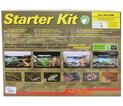 Lucky Reptile Starter Kit Komplettset Bartagame, ca. B80/H52/T40 cm