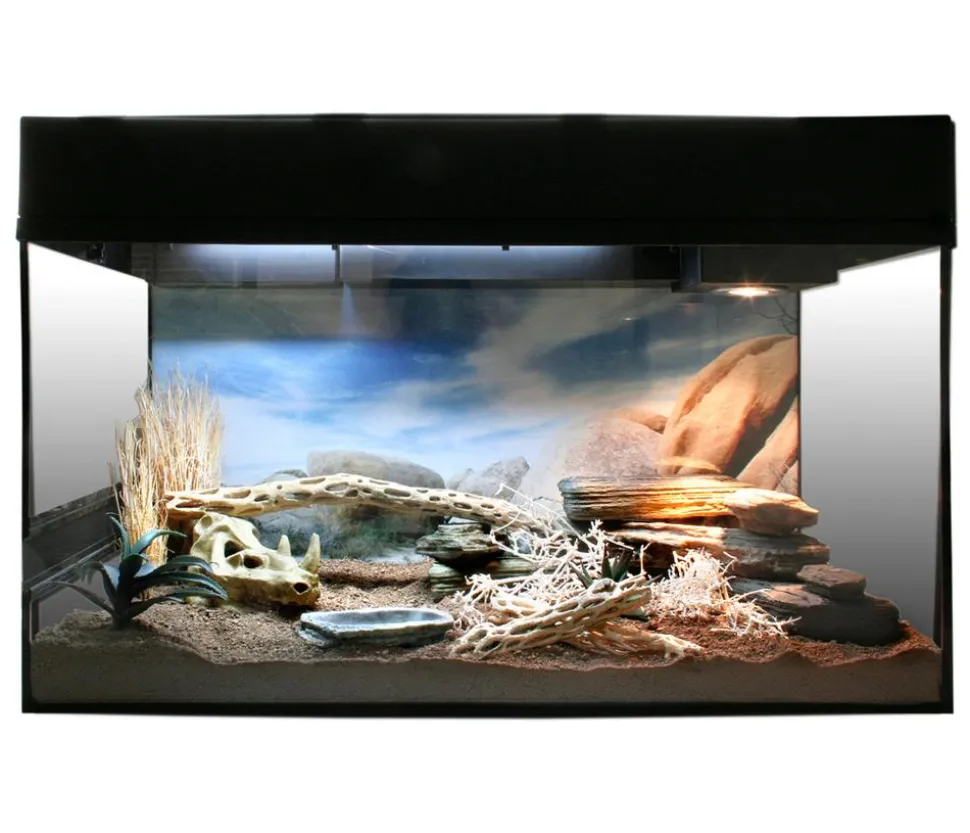 Lucky Reptile Starter Kit Komplettset Bartagame, ca. B80/H52/T40 cm