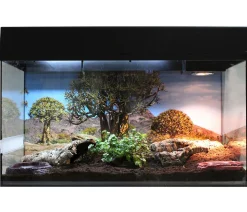 Lucky Reptile Starter Kit Komplettset Landschildkröte, ca. B80/H52/T40 cm
