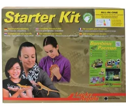 Lucky Reptile Starter Kit Komplettset Bombina/Pacman, ca. B50/H40/T28 cm
