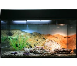 Lucky Reptile Starter Kit Komplettset Leopardgecko, ca. B80/H52/T40 cm